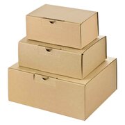 Versandkarton mit schneller Aufrichtung mit Steckverschluss - 3 Gr�ssen Testset- Warenpost International