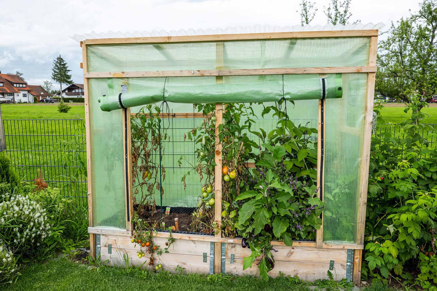 Gitterplane 3,00 x 8,00 m transparent mit grnem Gitter 250 g/m mit Nagelrand verstrkt gefaltet UV-stabil